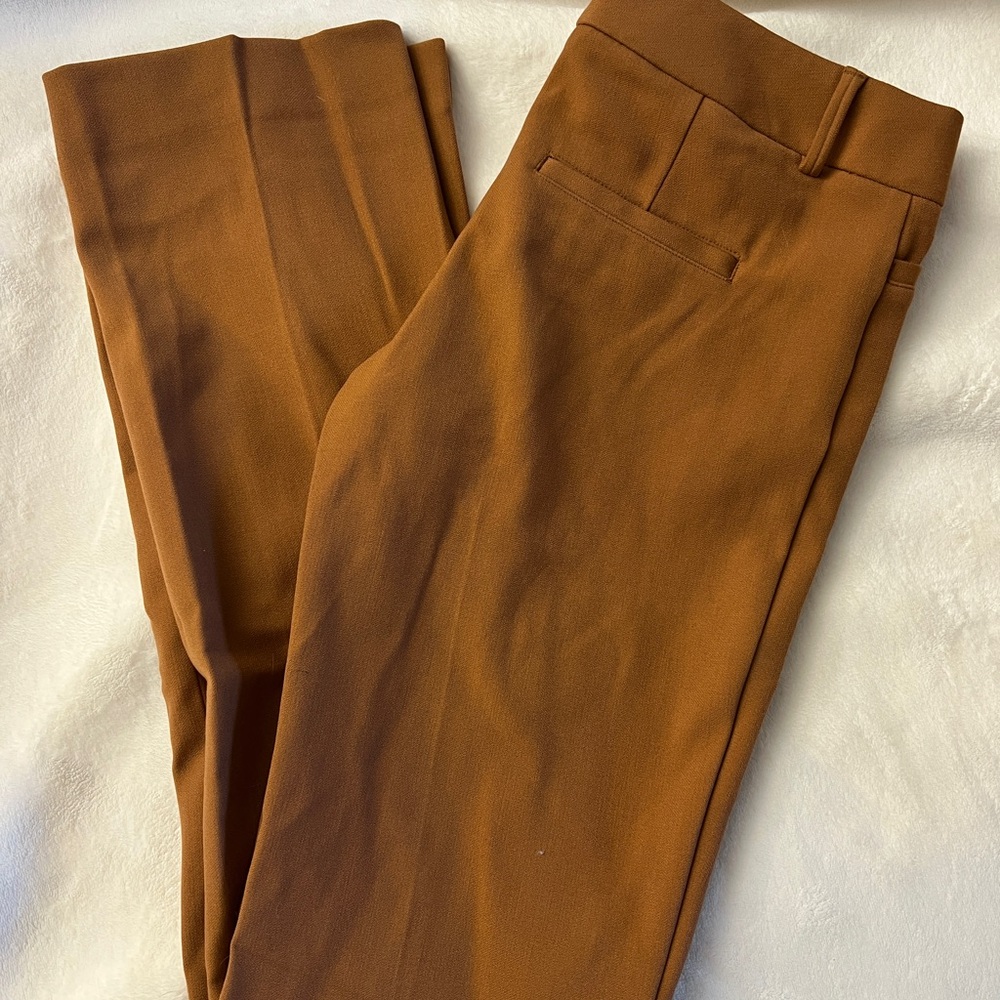 NWOT Women’s Express Columnist Brown Pants